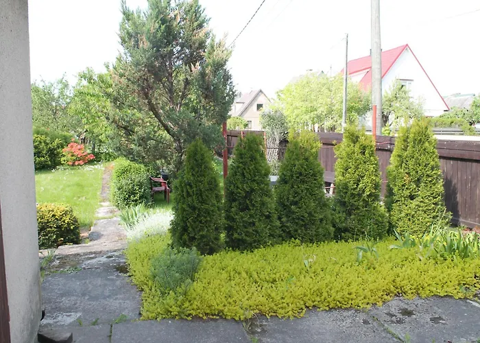 Roheline Vaikus بارنو